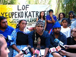 mapuches