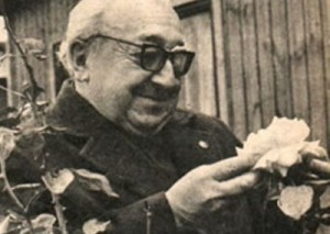 sabella 2