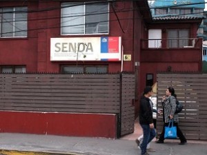 senda frontis