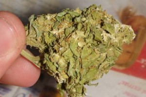 marihuana