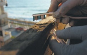 contaminacion-antofagasta
