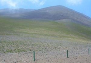 desierto florido iqq
