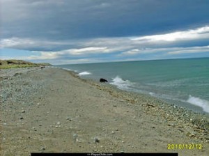 Caleta